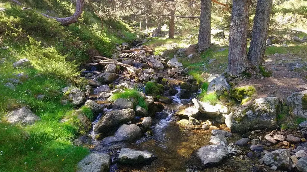 Senderismo: Arroyo de la Angostura, Valle del Lozoya