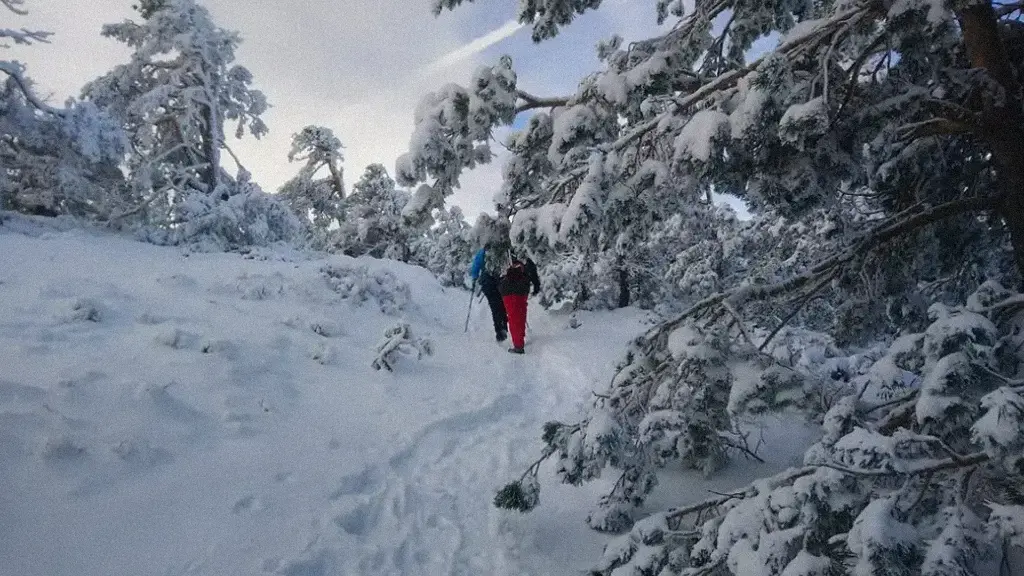 Raquetas de nieve en Madrid: Iniciación